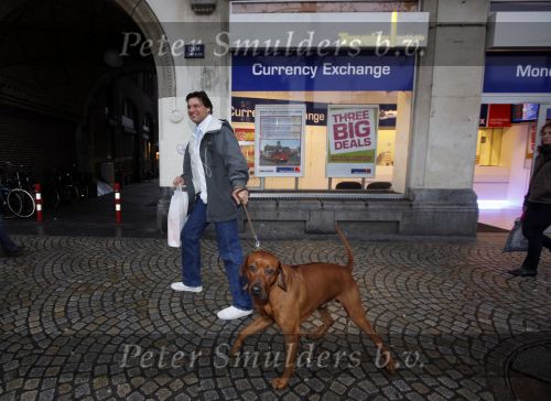 Amsterdam 9 december 2009
Edwin de Roy v Zuydewijn met zijn hond op de dam.