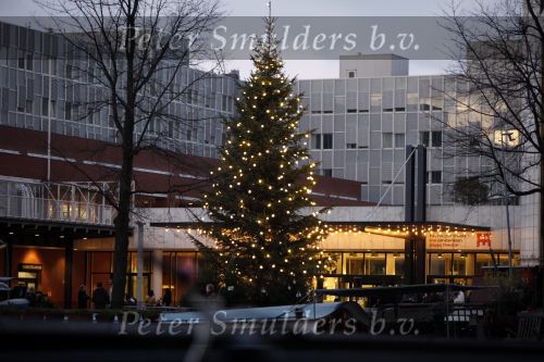 Amsterdam 13 december 2009
Rene Froger en zijn zussen en kinderen Natasja Danny Maxim en Didier hangen foto\'sn (sterren) van Bollen jan en Mien in de grote kerstboom bij de stopera.
Peter Smulders bv
