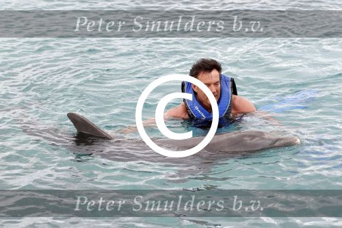 Curacao 8 januari 2011
Gerard Joling Patty Brard en Romy Omtzigt zwemmen bij de dolphin academy
bij seaquarium met dolfijnen.
Peter Smulders bv