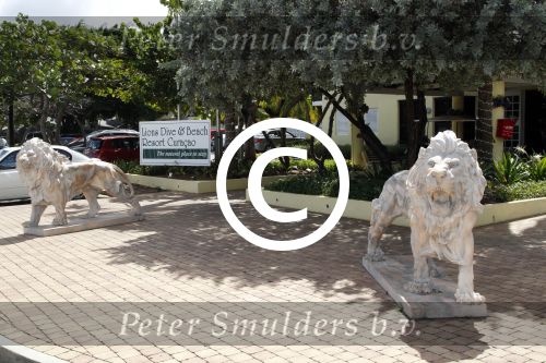 Curacao 5 januari 2011
Hotspots in Curacao. Hotel Lions Dive
Peter Smulders bv