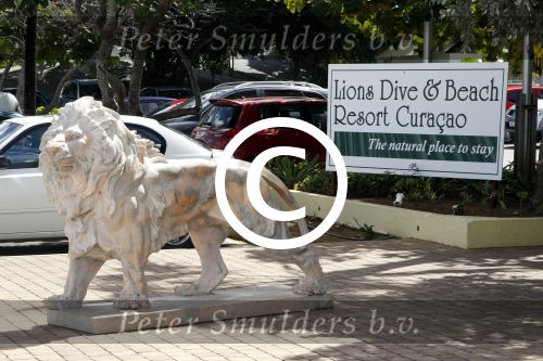 Curacao 5 januari 2011
Hotspots in Curacao. Hotel Lions Dive
Peter Smulders bv