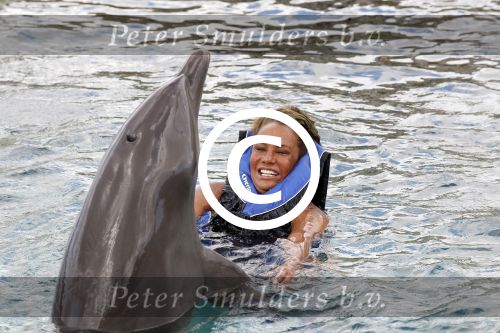 Curacao 8 januari 2011
Gerard Joling Patty Brard en Romy Omtzigt zwemmen bij de dolphin academy
bij seaquarium met dolfijnen.
Peter Smulders bv