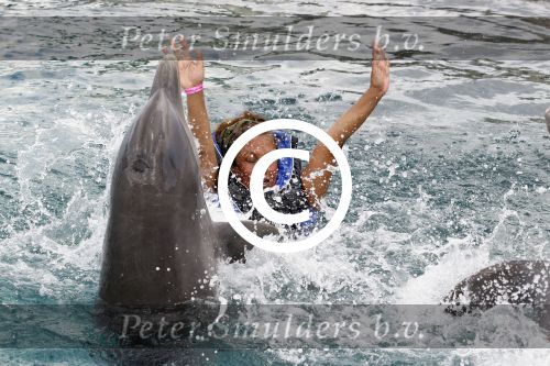Curacao 8 januari 2011
Gerard Joling Patty Brard en Romy Omtzigt zwemmen bij de dolphin academy
bij seaquarium met dolfijnen.
Peter Smulders bv