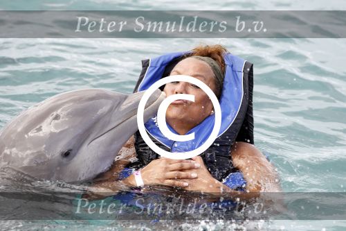 Curacao 8 januari 2011
Gerard Joling Patty Brard en Romy Omtzigt zwemmen bij de dolphin academy
bij seaquarium met dolfijnen.
Peter Smulders bv