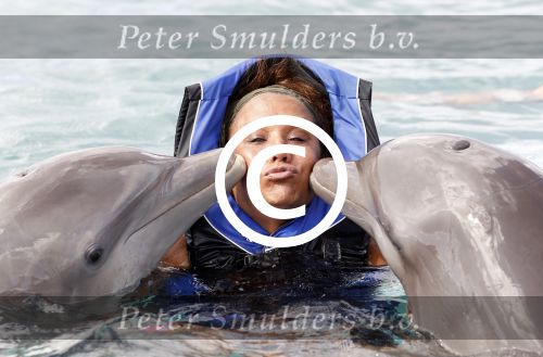 Curacao 8 januari 2011
Gerard Joling Patty Brard en Romy Omtzigt zwemmen bij de dolphin academy
bij seaquarium met dolfijnen.
Peter Smulders bv