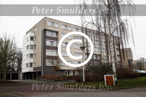 Amstelveen 7 januari 2013
Appartement van Bobby Farell
Peter Smulders bv