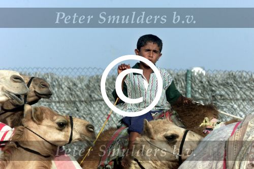 Nad Al Sheba Golfclub
Dubai 8 mei 2001
Kamelendrijvers


PETER SMULDERS BV