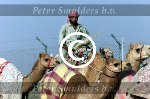Nad Al Sheba Golfclub
Dubai 8 mei 2001
Kamelendrijvers


PETER SMULDERS BV