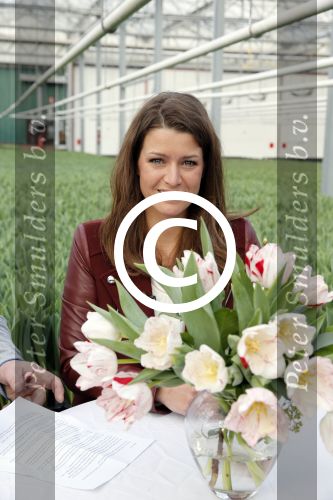 Spierdijk 17 januari 2013
Doop tulp Merel Delight vernoemd naar presentatrice Merel Westrik.
Peter Smulders bv