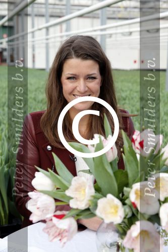 Spierdijk 17 januari 2013
Doop tulp Merel Delight vernoemd naar presentatrice Merel Westrik.
Peter Smulders bv