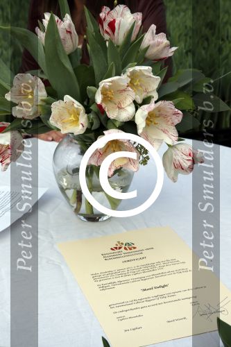 Spierdijk 17 januari 2013
Doop tulp Merel Delight vernoemd naar presentatrice Merel Westrik.
Peter Smulders bv