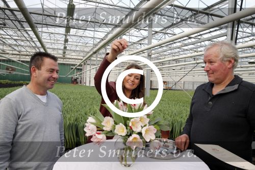 Spierdijk 17 januari 2013
Doop tulp Merel Delight vernoemd naar presentatrice Merel Westrik.
Peter Smulders bv