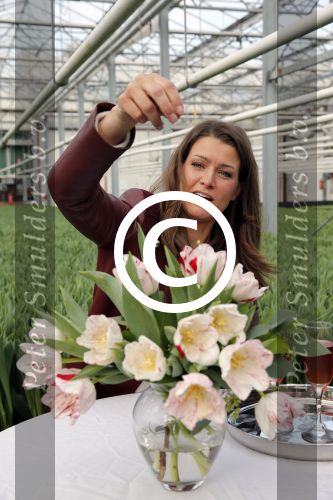 Spierdijk 17 januari 2013
Doop tulp Merel Delight vernoemd naar presentatrice Merel Westrik.
Peter Smulders bv