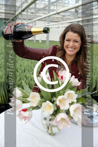 Spierdijk 17 januari 2013
Doop tulp Merel Delight vernoemd naar presentatrice Merel Westrik.
Peter Smulders bv