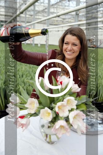 Spierdijk 17 januari 2013
Doop tulp Merel Delight vernoemd naar presentatrice Merel Westrik.
Peter Smulders bv