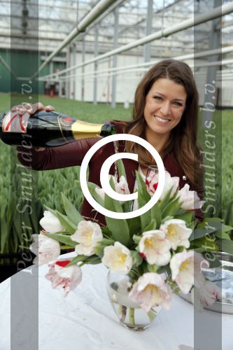 Spierdijk 17 januari 2013
Doop tulp Merel Delight vernoemd naar presentatrice Merel Westrik.
Peter Smulders bv