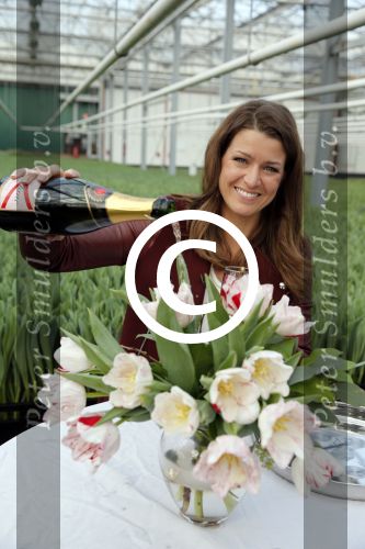 Spierdijk 17 januari 2013
Doop tulp Merel Delight vernoemd naar presentatrice Merel Westrik.
Peter Smulders bv