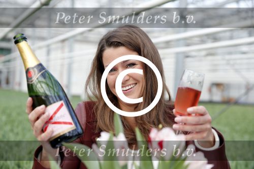 Spierdijk 17 januari 2013
Doop tulp Merel Delight vernoemd naar presentatrice Merel Westrik.
Peter Smulders bv