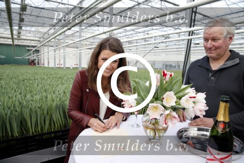 Spierdijk 17 januari 2013
Doop tulp Merel Delight vernoemd naar presentatrice Merel Westrik.
Peter Smulders bv