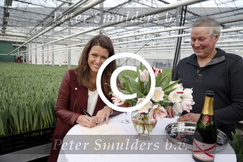 Spierdijk 17 januari 2013
Doop tulp Merel Delight vernoemd naar presentatrice Merel Westrik.
Peter Smulders bv
