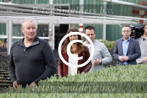 Spierdijk 17 januari 2013
Doop tulp Merel Delight vernoemd naar presentatrice Merel Westrik.
Peter Smulders bv