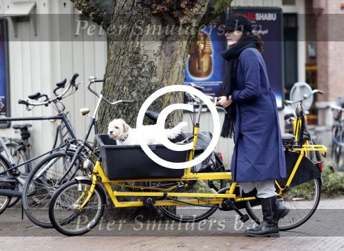Amsterdam 24 december 2012
Susan Visser met hondje op de cornelis schuytstraat.
Peter Smulders bv