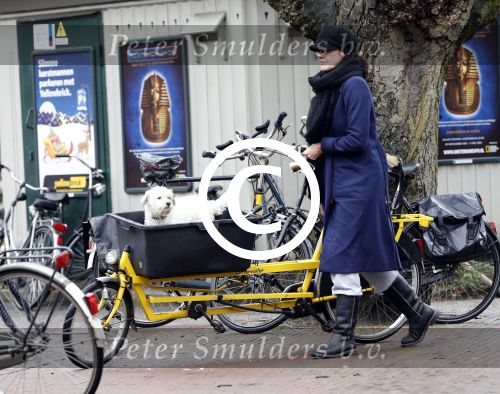 Amsterdam 24 december 2012
Susan Visser met hondje op de cornelis schuytstraat.
Peter Smulders bv