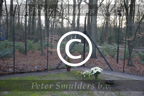 Lage Vuursche 8 januari 2013
Het graf van prins Friso.