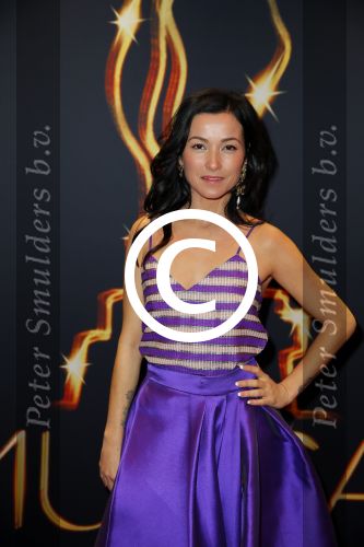 Utrecht 7 januari 2015
Musical awards gala in het Beatrix theater.
Birgit Schuurman met man Arne Toonen