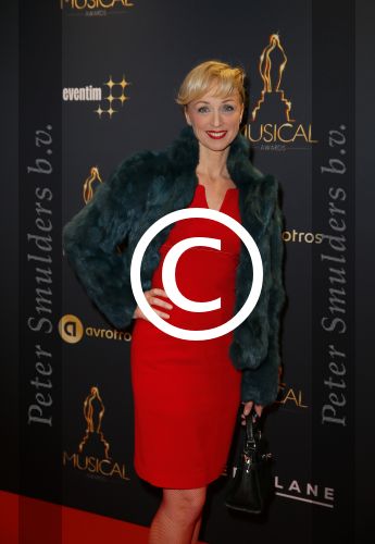 Utrecht 7 januari 2015
Musical awards gala in het Beatrix theater.
Ellen Evers