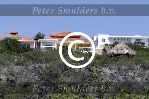 Curacao 20 december 2014
Jeroen Pauw heeft op Coral EState een villa/huis gekocht met een zwembad en zzezicht. Coral Estate is het mmoiste park op Curacao.