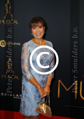 Utrecht 7 januari 2015
Musical awards gala in het Beatrix theater.
Sandra Reemer