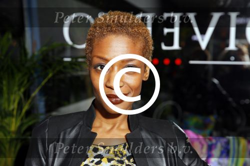 Amsterdam 12 januari 2015
Presentatie nieuwe geur van Roberto Cavalli bij restaurant Diverto.
Sylvana Simons