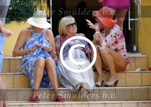 Curacao 31 december 2014
Willeke Alberti Jeroen Krabbe met vrouw Herma Krabbe zoon Jasper krabbe ( met dochters) Rogier van Boxtel en Derek Bolt bij het vuurwerk van Avila Beach hotel op Curacao vanwege oud en nieuw jaar