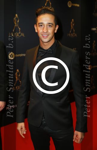 Utrecht 7 januari 2015
Musical awards gala in het Beatrix theater.
Yesser