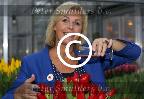 Lisse 15 januari 2015
Irene Moors doopt de rode kruis tulp.