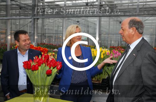 Lisse 15 januari 2015
Irene Moors doopt de rode kruis tulp.