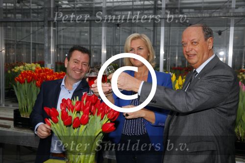 Lisse 15 januari 2015
Irene Moors doopt de rode kruis tulp.