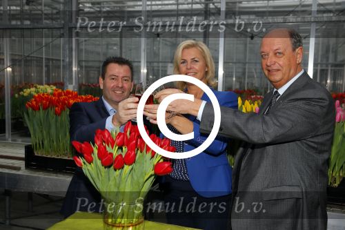 Lisse 15 januari 2015
Irene Moors doopt de rode kruis tulp.