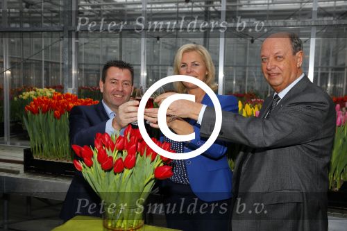 Lisse 15 januari 2015
Irene Moors doopt de rode kruis tulp.