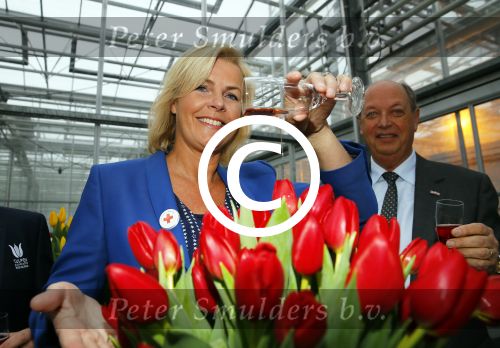 Lisse 15 januari 2015
Irene Moors doopt de rode kruis tulp.