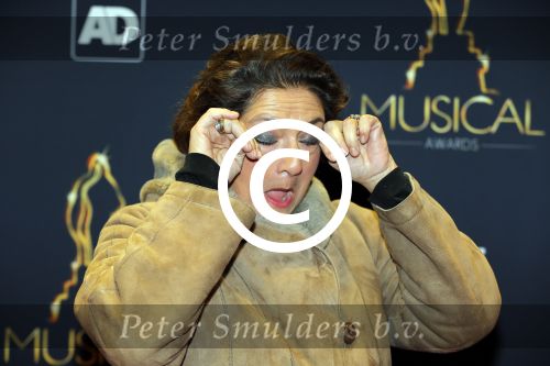 Utrecht 6 januari 2016
Uitreiking musical awards in het beatrixtheater. Annet Malherbe met zoon