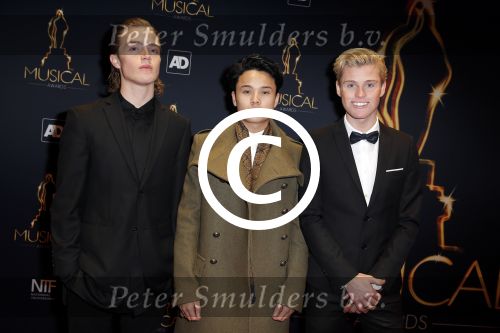 Utrecht 6 januari 2016
Uitreiking musical awards in het beatrixtheater.
B Brave