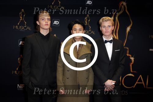 Utrecht 6 januari 2016
Uitreiking musical awards in het beatrixtheater.
B Brave