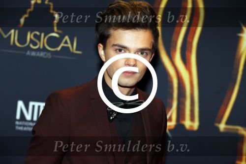 Utrecht 6 januari 2016
Uitreiking musical awards in het beatrixtheater.
Buddy Vedder