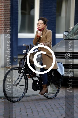 Amsterdam 4 december 2015
Carolien v d Bewrg op de fiets in Amsterdam