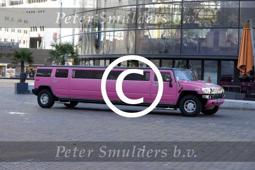 Amsterdam 9 decmber 2015
Premiere Mega Mindy met oa Jim Bakkum en Frou Souffriau in pathe arena.
roze limo hummer