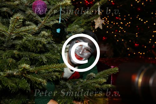 Hilversum 7 december 2015
Event Sky radio met kerstboom. De olgende bn ers doe mee.
 Xander de BuisonjÃ© & Sharon Doorson (dance4life), Barry Atsma (Diabetes Fonds) & Do (Stichting DON), Mari van de Ven & Dyanne Beekman (Hartstichting), Beau Schneider & Ruud Feltkamp (KWF Kankerbestrijding), Roel van Velzen & Roos MoggrÃ© (MasterPeace), Anouk Smulders & ManuÃ«la Kemp (Ruby and Rose), Ellen ten Damme & Henk Schiffmacher (Stichting Vluchteling), Bartho Braat & Lone van Roosendaal (Trombosestichting) en Danny de Munk & Vivian Reijs (Voedselbanken Nederland).
Vakjury
De vakjury bestaat dit jaar uit voorzitter Nance Coolen (presentatrice en winnares van CTFC 2014), Fred van Leer (kledingstylist en presentator) en Pascal Koeleman (ondernemer en jurylid van SBS 6\' Hollands Beste Bloemstylis