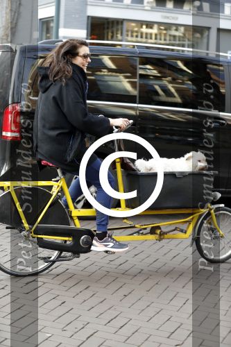 Amsterdam 19 december 2016 
Susan Visser met hond in bakfiets in Amsterdam zuid