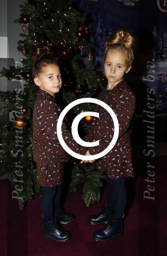 Amsterdam 24 december 2017
RTL kerst show in het ziggo dome.